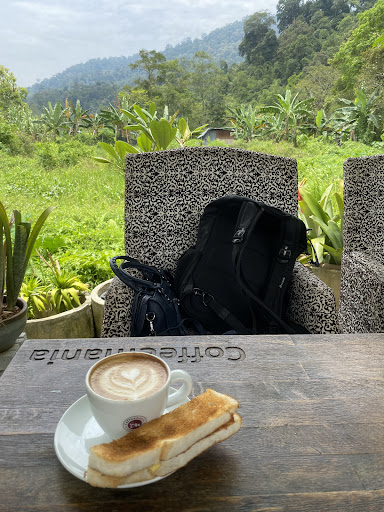 Coffeemania @ Fig Malaysia Farm