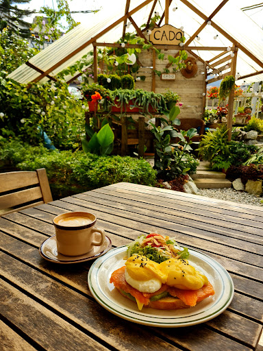 Cado cafe Cado cafe