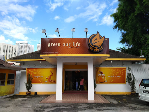 Coffee Tree & Coffee Tree Boutique