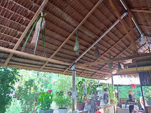 Bamboo House Cafe & Catering