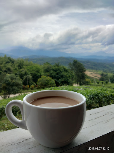 Ladang Teh Sabah